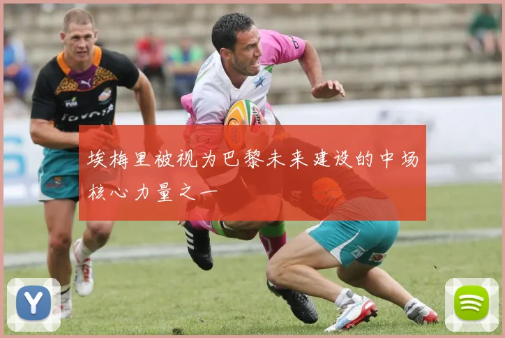 埃梅里被视为巴黎未来建设的中场核心力量之一