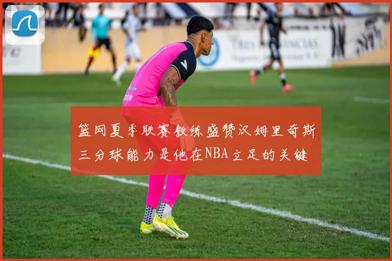 篮网夏季联赛教练盛赞汉姆里奇斯三分球能力是他在NBA立足的关键