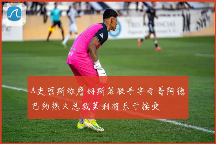 A史密斯称詹姆斯若联手字母哥阿德巴约热火总裁莱利将乐于接受